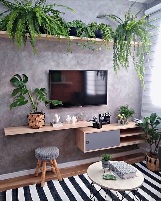 sala-com-plantas